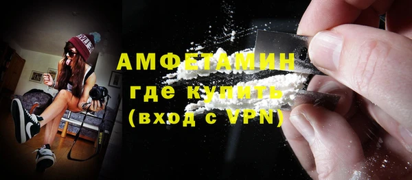 дживик Ельня