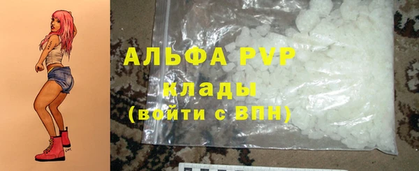 дживик Ельня