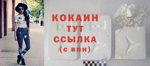 дживик Ельня