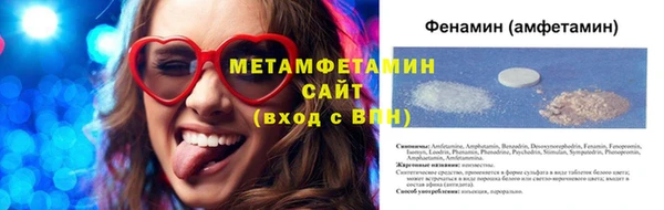 дживик Ельня
