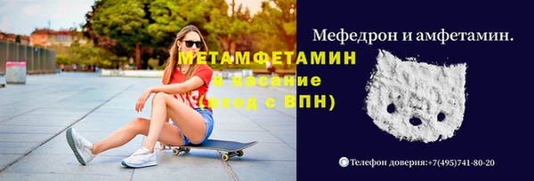 дживик Ельня