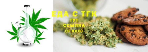 дживик Ельня