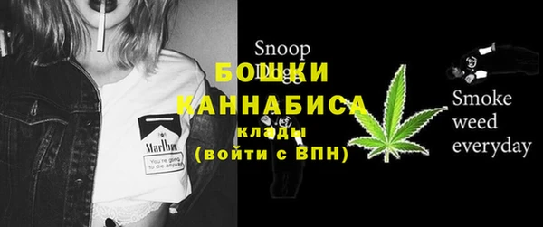 дживик Ельня