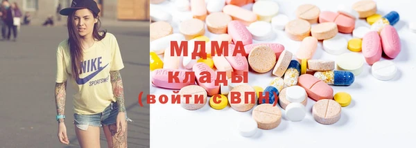 дживик Ельня