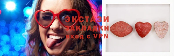 дживик Ельня