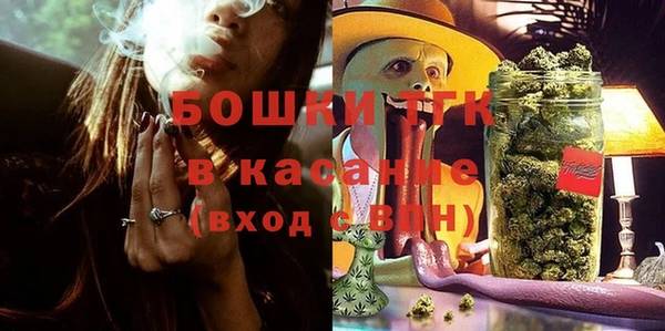 дживик Ельня