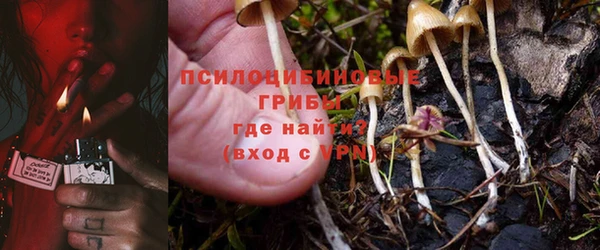 первитин Елабуга