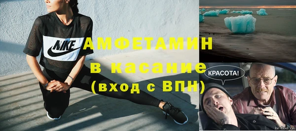 дживик Ельня