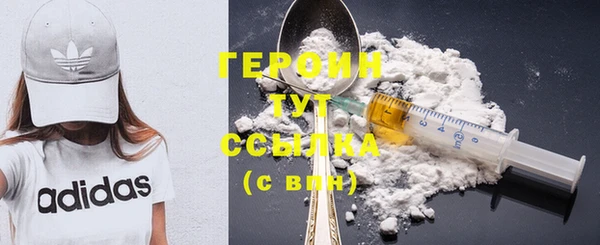 дживик Ельня