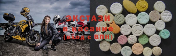 дживик Ельня