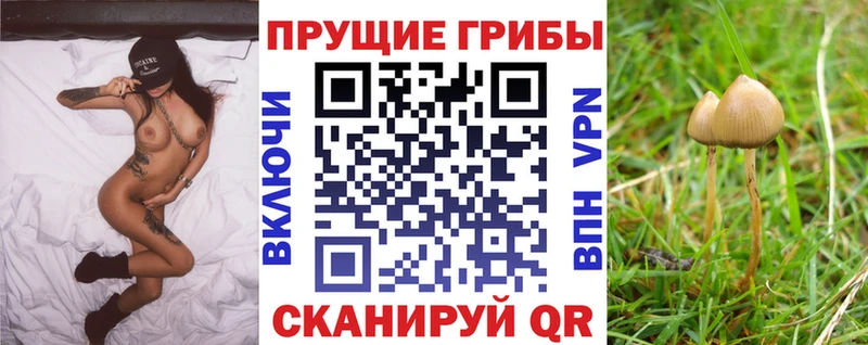 Галлюциногенные грибы GOLDEN TEACHER  Купить закладки  Ильский 